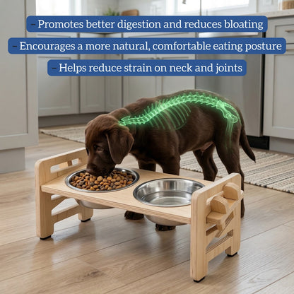 Woofers Company™ Orthopedic Feeder