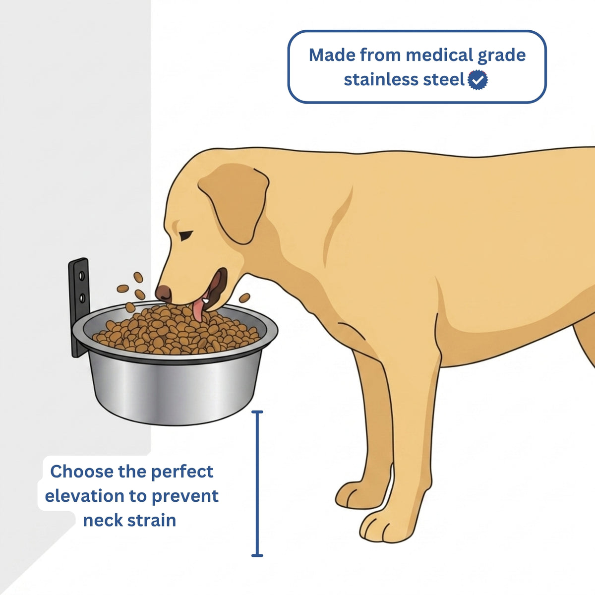 Woofers Company™ Orthopedic Wall Feeder