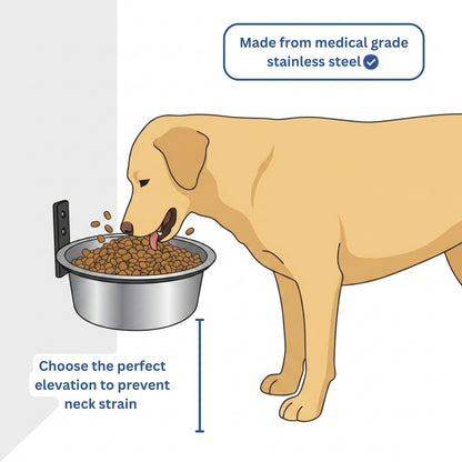Woofers Company™ Orthopedic Wall Feeder
