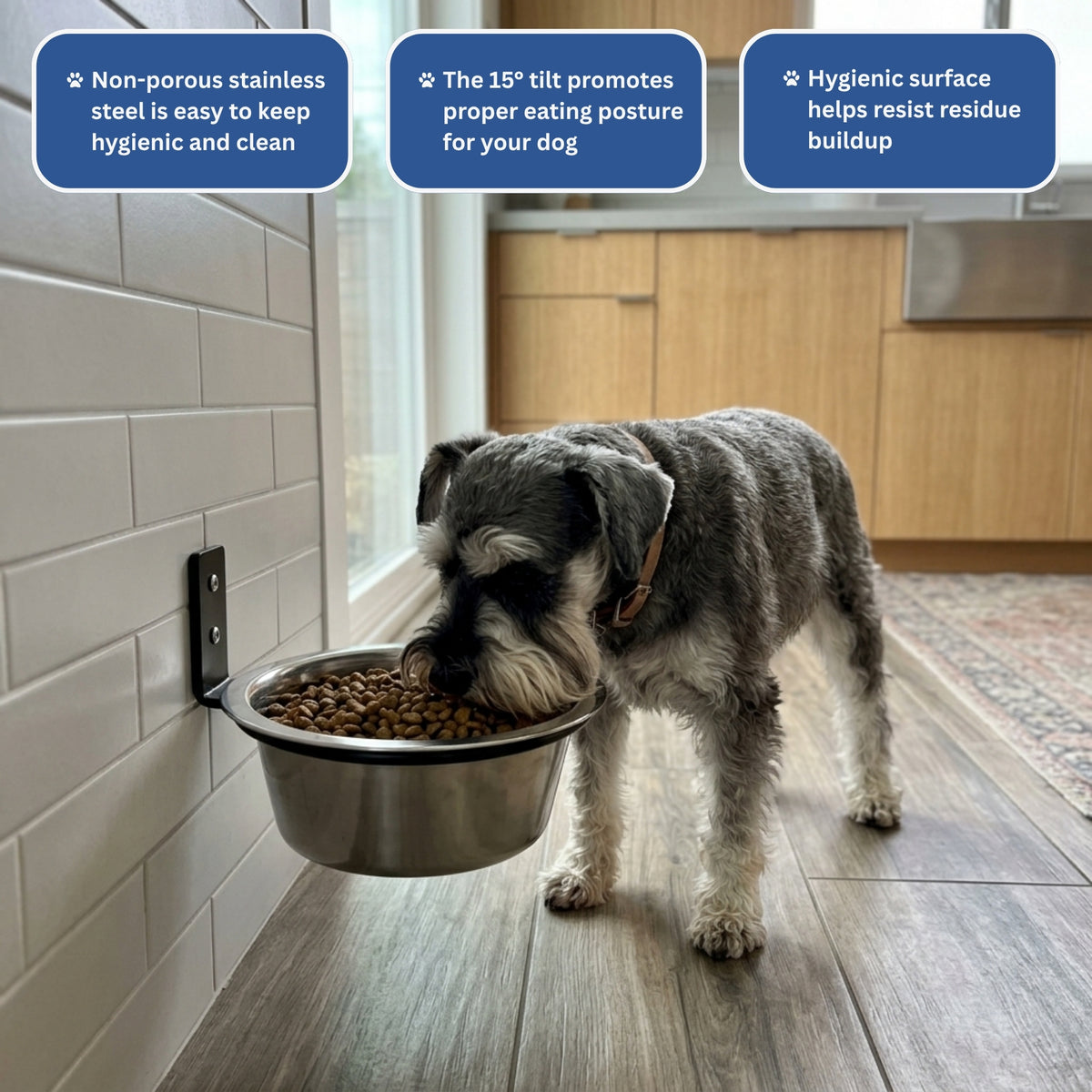 Woofers Company™ Orthopedic Wall Feeder