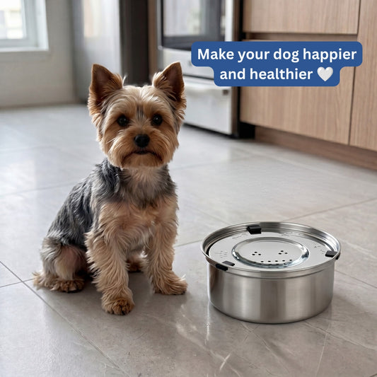 Woofers Company™ Orthopedic Anti-Spill Water Bowl